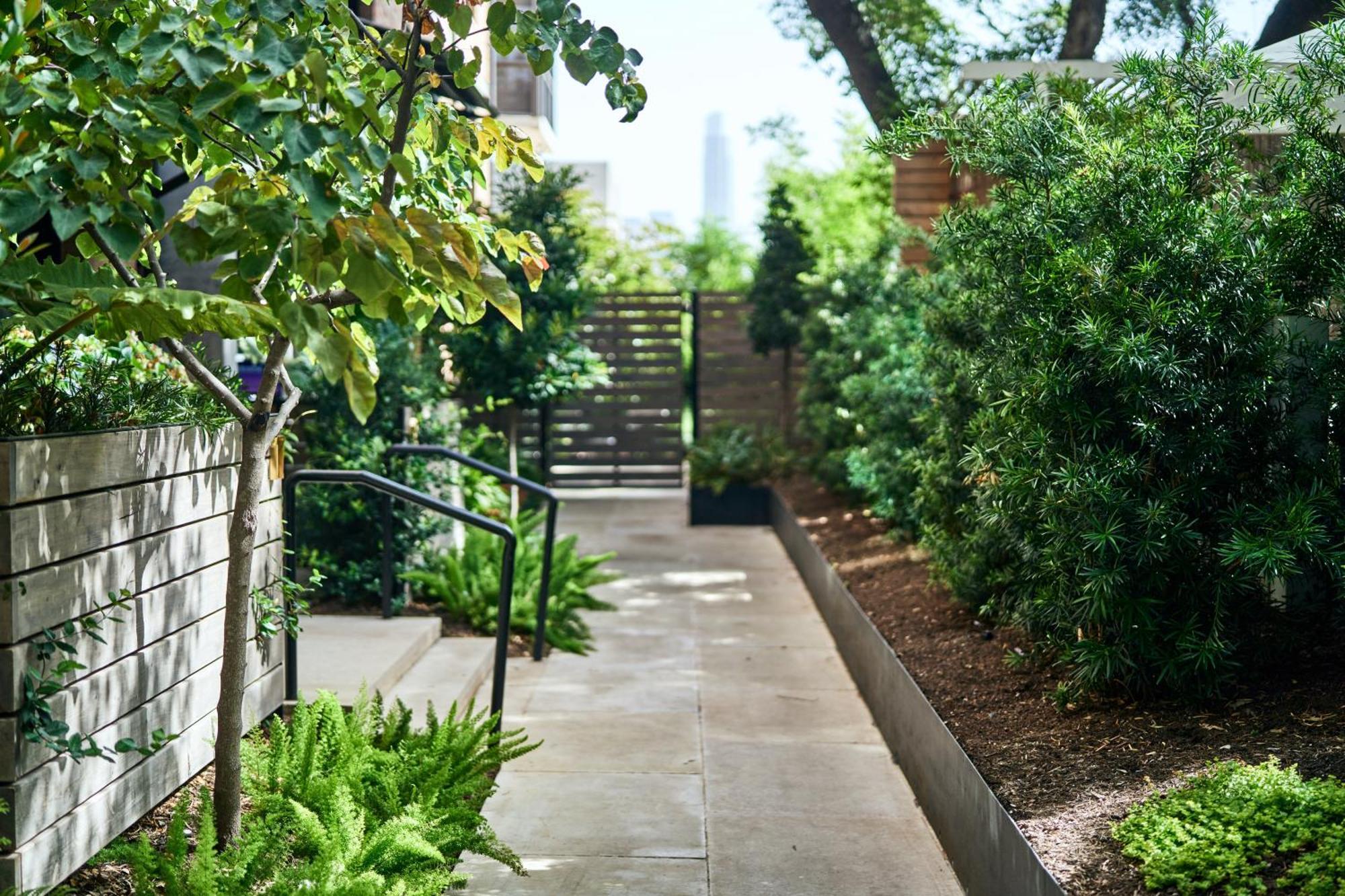 Hotel Saint Cecilia Austin Exterior foto